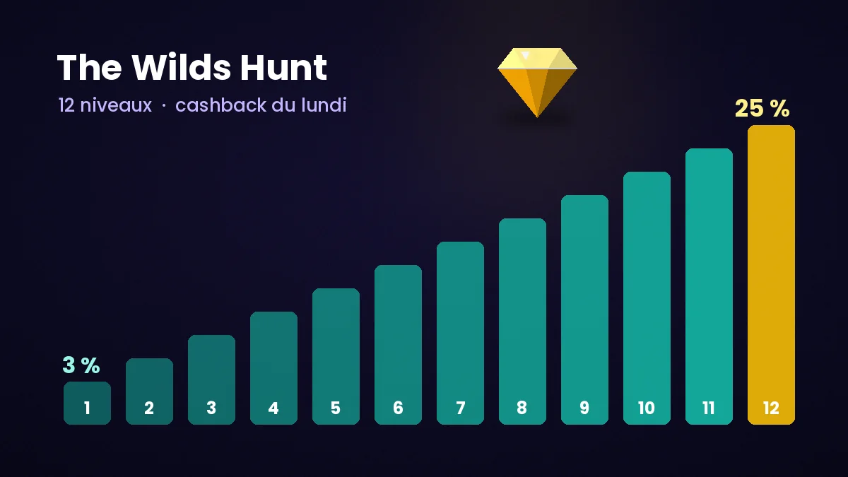 Les douze niveaux du programme The Wilds Hunt, de 3 à 25 % de cashback